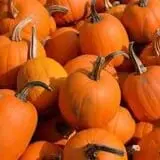 Knaebe's Mmmunchy Krunchy Apple Farm photo