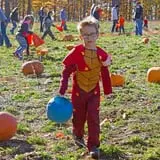Knaebe's Mmmunchy Krunchy Apple Farm photo