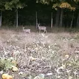 Knaebe's Mmmunchy Krunchy Apple Farm photo