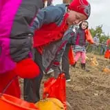 Knaebe's Mmmunchy Krunchy Apple Farm photo