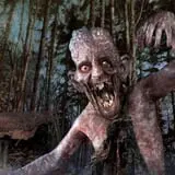 Evil in the Woods