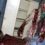 Bayville Scream Park photo