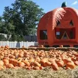Bayville Scream Park photo