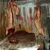 Bayville Scream Park photo