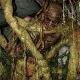 Bayville Scream Park photo