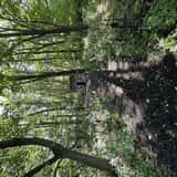 Hillside Haunted Hike photo