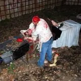 Scarefest Scream Park