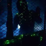 Haunted House