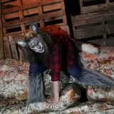 Perdition Pines Haunted Event photo