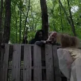 Perdition Pines Haunted Event photo