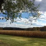 Ashley Farms photo