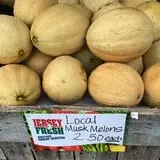 Ashley Farms photo