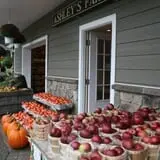 Ashley Farms photo