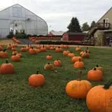 Ashley Farms photo