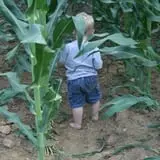 Ashley Farms photo