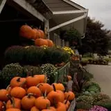 Ashley Farms photo