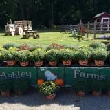 Ashley Farms photo