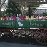 Ashley Farms photo