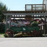 Ashley Farms photo