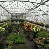 Ashley Farms photo