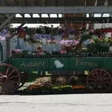 Ashley Farms photo