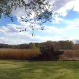 Ashley Farms photo
