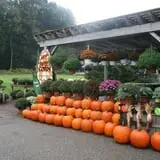 Ashley Farms photo