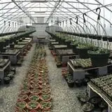 Ashley Farms photo