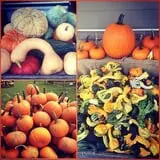 Ashley Farms photo