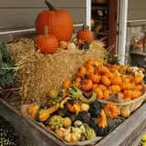 Ashley Farms photo