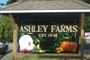 Ashley Farms