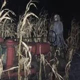 The MAiZE Field of Fright photo