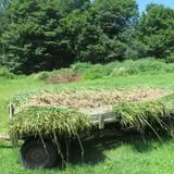 Warrup's Farm Pumpkin Picking & Hayrides photo