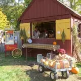 Warrup's Farm Pumpkin Picking & Hayrides photo