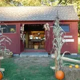 Warrup's Farm Pumpkin Picking & Hayrides photo