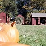 Warrup's Farm Pumpkin Picking & Hayrides photo