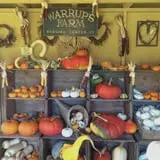 Warrup's Farm Pumpkin Picking & Hayrides photo