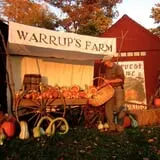 Warrup's Farm Pumpkin Picking & Hayrides photo