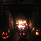 Warrup's Farm Pumpkin Picking & Hayrides photo