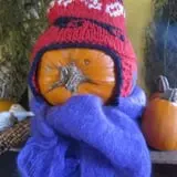 Warrup's Farm Pumpkin Picking & Hayrides photo
