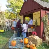 Warrup's Farm Pumpkin Picking & Hayrides photo