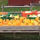Warrup's Farm Pumpkin Picking & Hayrides photo