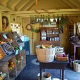 Warrup's Farm Pumpkin Picking & Hayrides photo