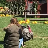 Warrup's Farm Pumpkin Picking & Hayrides photo