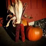 Warrup's Farm Pumpkin Picking & Hayrides photo
