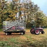 Warrup's Farm Pumpkin Picking & Hayrides photo
