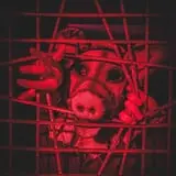 Fear Reach Scream Park