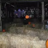 Hermanson Pumpkin Patch photo