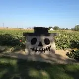 Hermanson Pumpkin Patch photo
