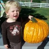 Hermanson Pumpkin Patch photo